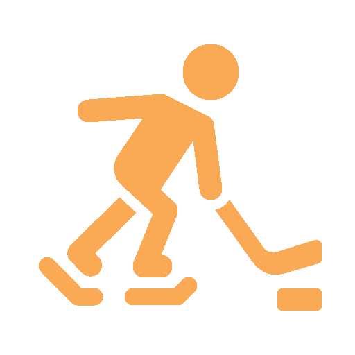 Hockey Patin